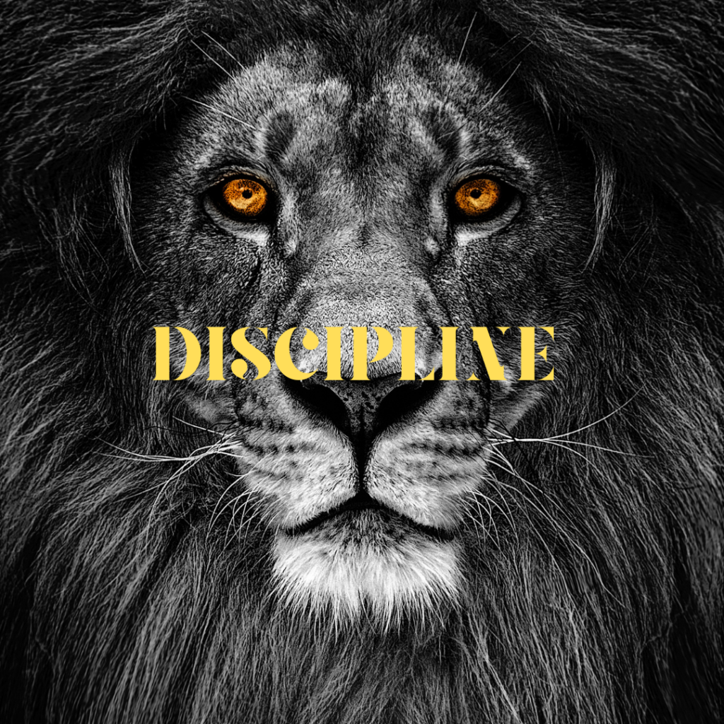 It is the discipline that can make one person stick to the plan. It is much like the power that holds you on to the course even if you don't want to or you are likely to give up.