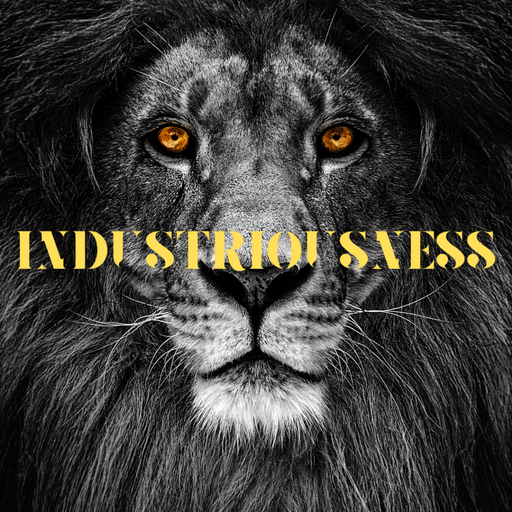 Industriousness was the state when one person worked energetically to complete the task and enjoy the fruits. Laziness is never welcomed in their life and they only care every step they take to reach their goals.