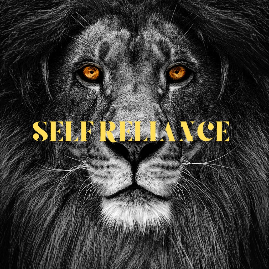 This is the power and the strong belief in your own power. You need neither physical aid nor mental support to get over your hardships. It is the state of being personally independent.
Odin is the model example of this virtue. When he sacrificed himself to gain wisdom of runes, he was personally independent. He refused any external help because he believed in his internal power.